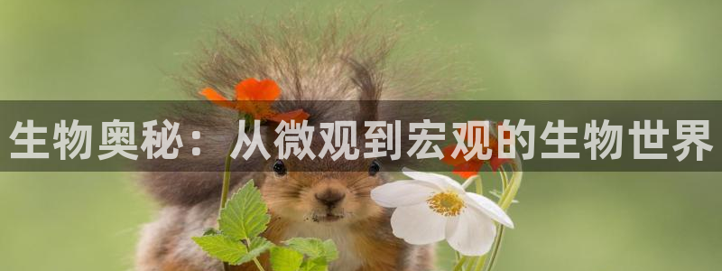 如何在话本小说上写作品