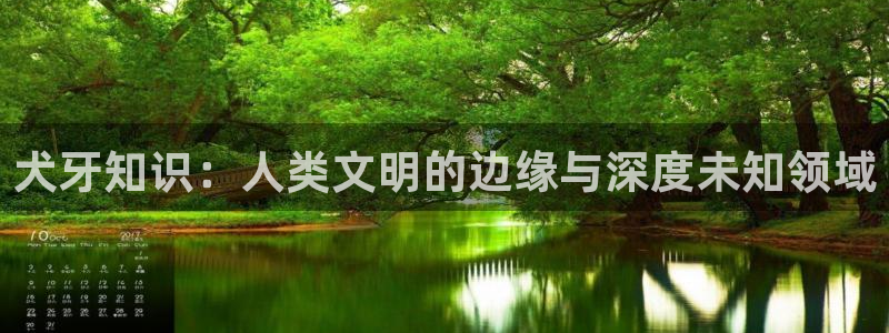 守护甜心话本小说