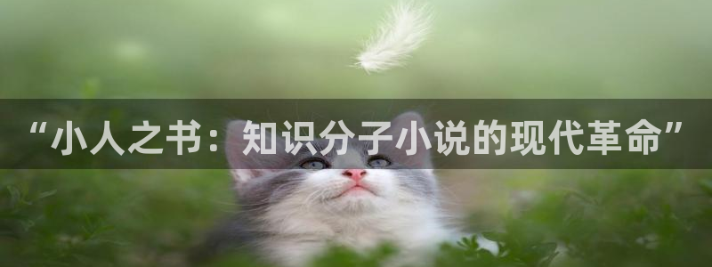 话本小说原神