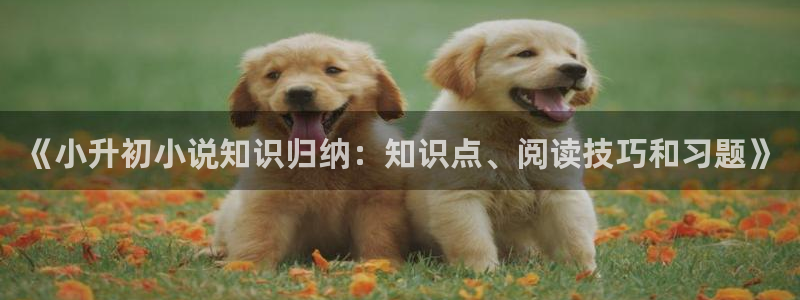 旧话本小说