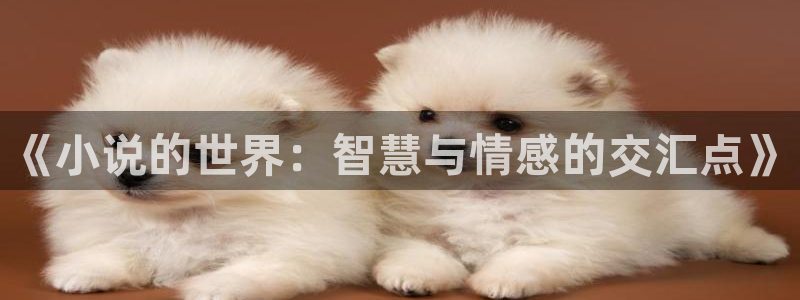 话本小说大全：《小说的世界：智慧与情感的交汇点》