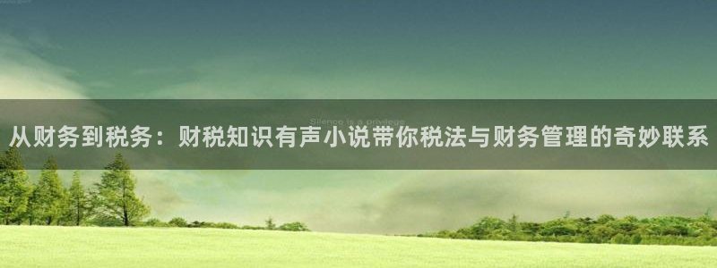 话本小说为：从财务到税务：财税知识有声小说带你税法与财务管理的奇妙联系